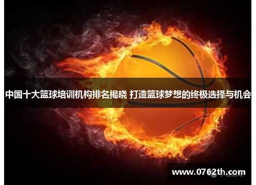 中国十大篮球培训机构排名揭晓 打造篮球梦想的终极选择与机会