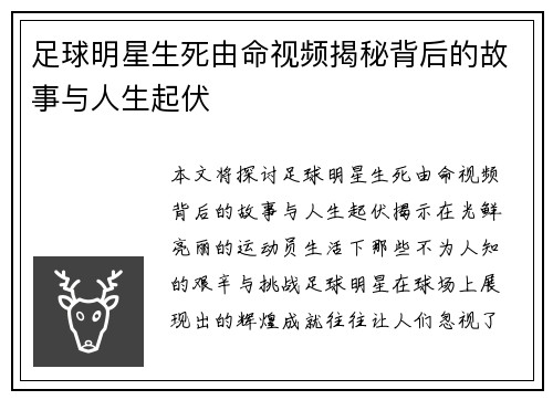 足球明星生死由命视频揭秘背后的故事与人生起伏